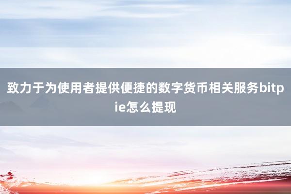 致力于为使用者提供便捷的数字货币相关服务bitpie怎么提现