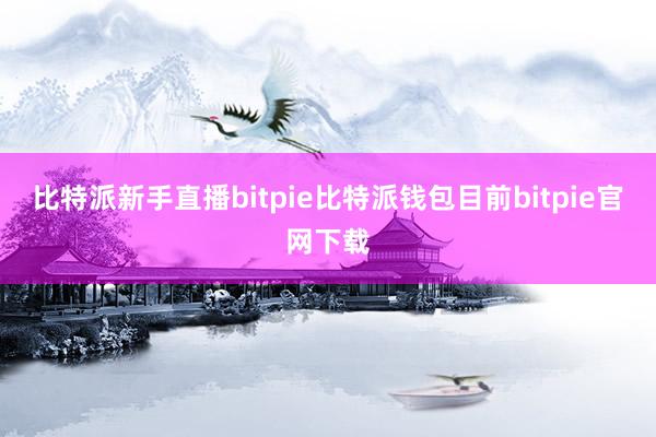 比特派新手直播bitpie比特派钱包目前bitpie官网下载