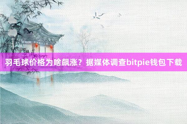 羽毛球价格为啥飙涨？据媒体调查bitpie钱包下载