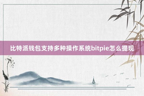 比特派钱包支持多种操作系统bitpie怎么提现