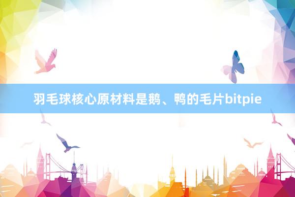 羽毛球核心原材料是鹅、鸭的毛片bitpie