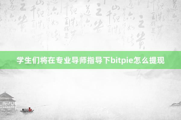 学生们将在专业导师指导下bitpie怎么提现