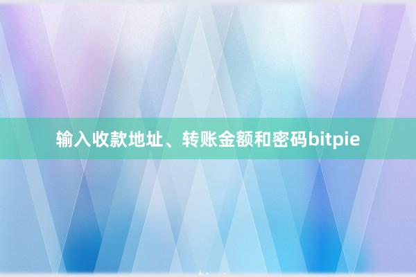 输入收款地址、转账金额和密码bitpie