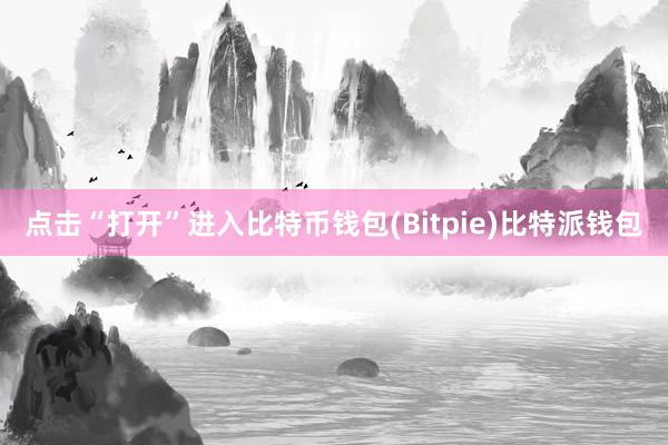 点击“打开”进入比特币钱包(Bitpie)比特派钱包