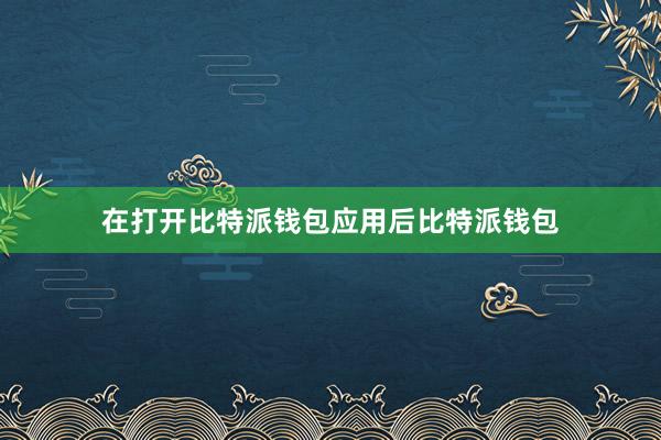 在打开比特派钱包应用后比特派钱包