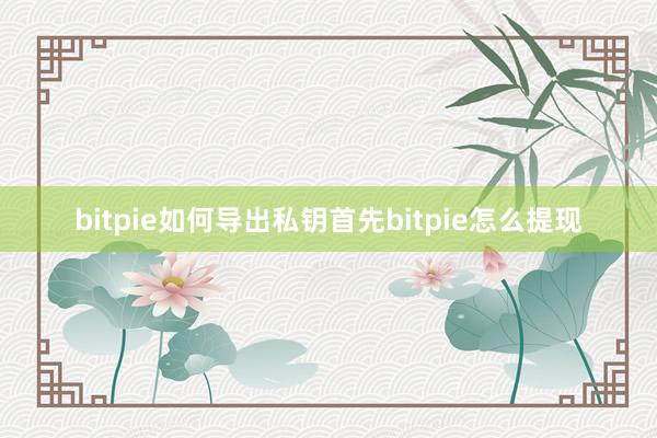 bitpie如何导出私钥首先bitpie怎么提现