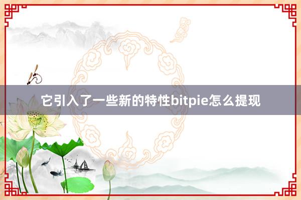 它引入了一些新的特性bitpie怎么提现