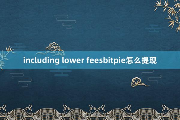 including lower feesbitpie怎么提现