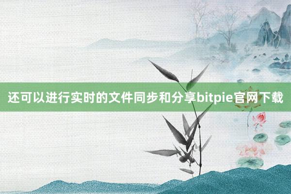 还可以进行实时的文件同步和分享bitpie官网下载