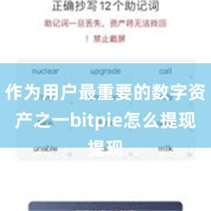 作为用户最重要的数字资产之一bitpie怎么提现