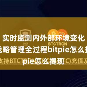 实时监测内外部环境变化及战略管理全过程bitpie怎么提现