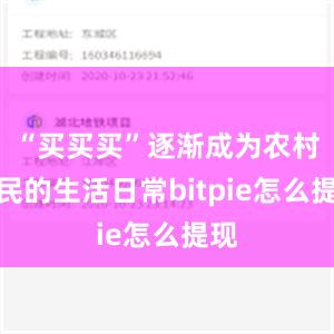 “买买买”逐渐成为农村居民的生活日常bitpie怎么提现