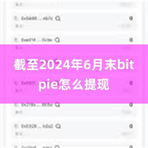 截至2024年6月末bitpie怎么提现